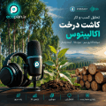 پادکست کاشت درخت اکالیپتوس در سال 1405