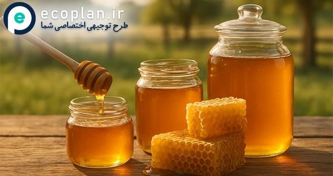 طرح توجیهی زنبورداری
