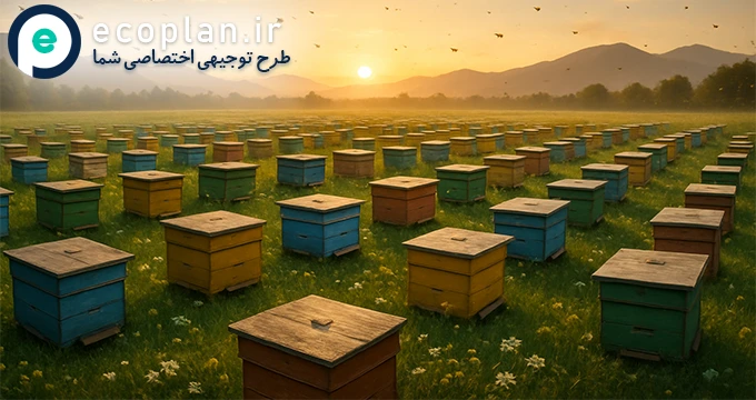 طرح توجیهی زنبورداری